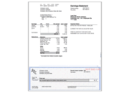 pay stub creator