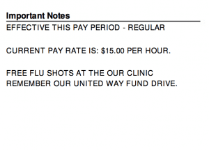paystub details