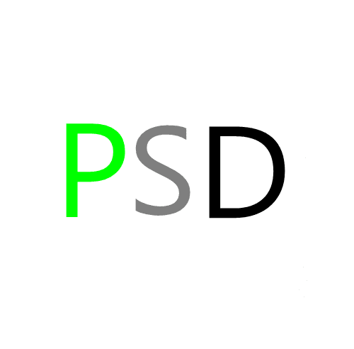 paystubdirect.com