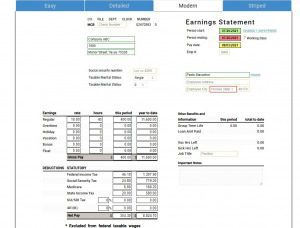 modern pay stub sample