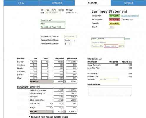 modern pay stub sample