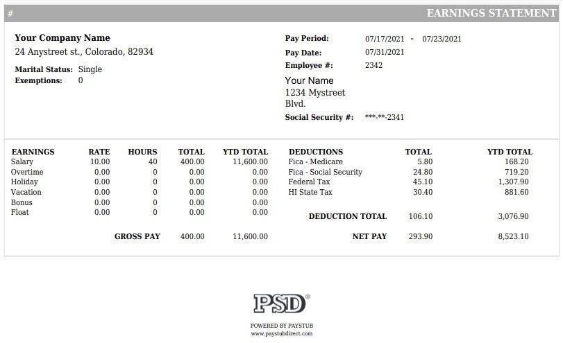 Detailed Paystub Style