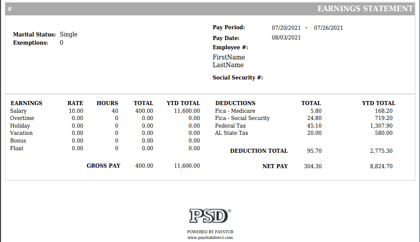 Advanced Paystub Template