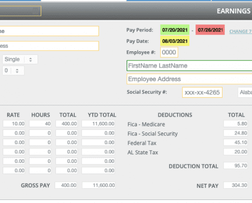 Advanced style template paystub