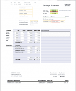 Striped Pay Stub Template