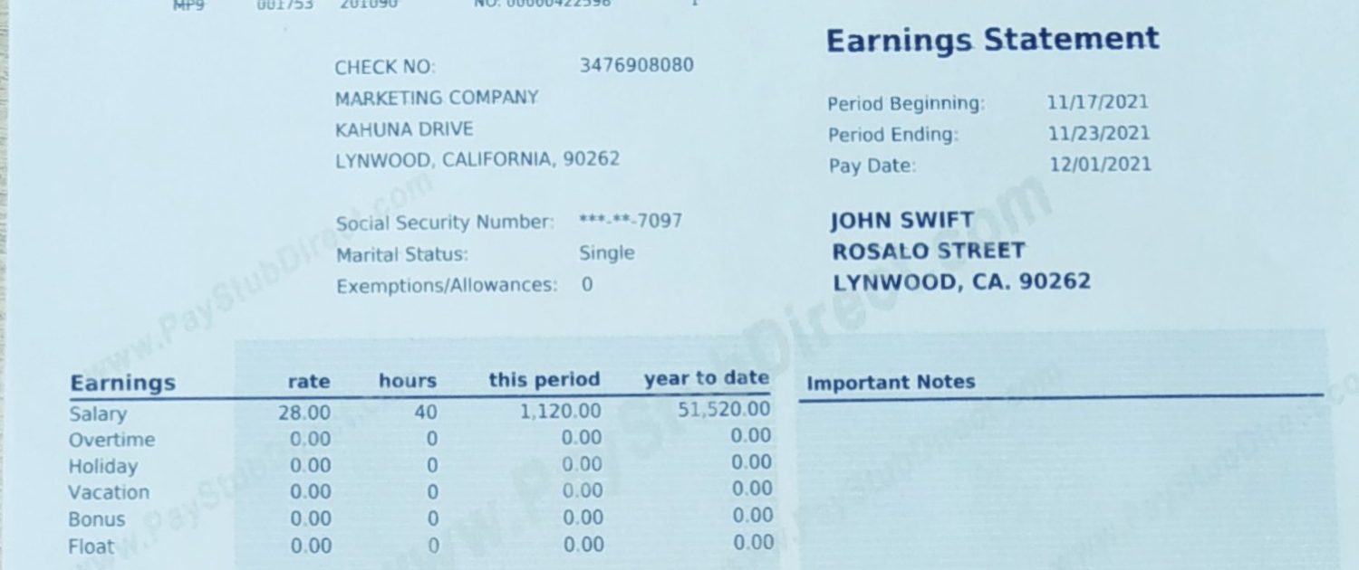 earnings statement showing ytd earning