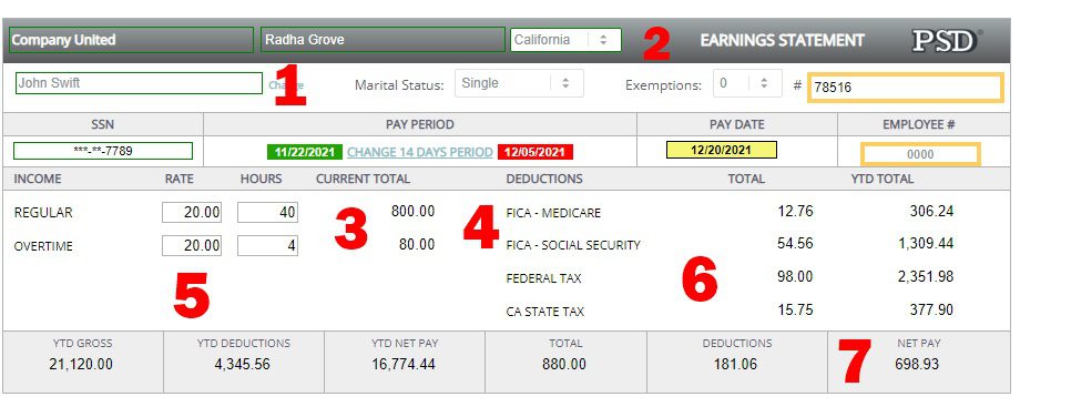 sample look of a pay stub